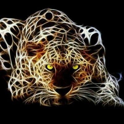 lbounimir's profile picture. 