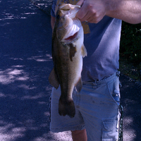 David Ruppert (@druppert6) 's Twitter Profile