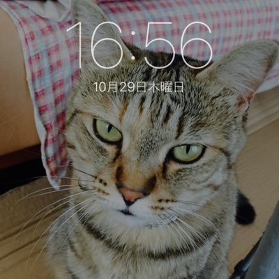 RifXx0's profile picture. 