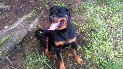 Tito70728030's profile picture. 