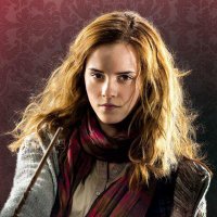 Hermione Granger(@_HermioneGanger) 's Twitter Profile Photo