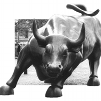 BullRider (@share_tips) 's Twitter Profile