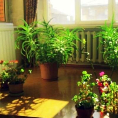 NNaran0825's profile picture. 