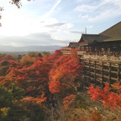 keibear_keiko's profile picture. 元々は歴史好きで、最近は艶が〜る・薄桜鬼をきっかけに幕末にハマっています(*^^*)そのせいで京都の幕末関連の史跡を見て歩くことには目がありません(*^^*) また和雑貨にも興味あり、最近つまみ細工も少し始めました^^;