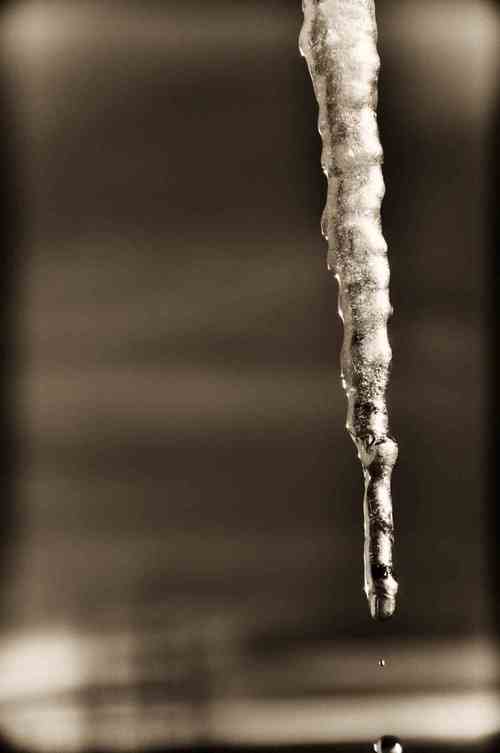 JoelConnett's profile picture. 