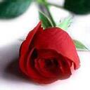 Patrick Brian - @unattached - Twitter