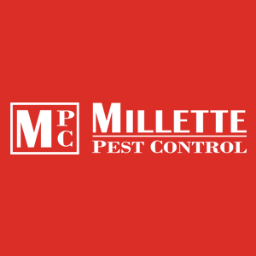 MillettePest's profile picture. 