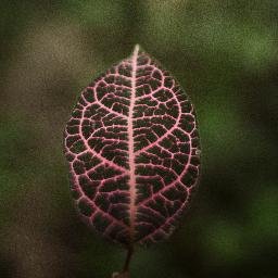 Proyecto documental sobre restauración ecológica y permacultura.
AYÚDANOS A CRECER! https://t.co/SEJ1L35SJp