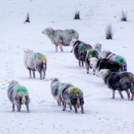 Stay in our cosy holiday cottage in #Ambleside in the #LakeDistrict National Park. Mainly tweet photos of the iconic #HerdwickSheep 🏔🐏