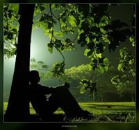 Mohamed20577693's profile picture. 