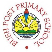 Bush Post Primary (@bushpostprimary) 's Twitter Profile