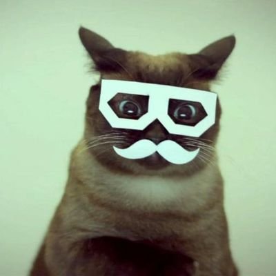 JuliamFerro's profile picture. 