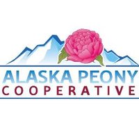 Alaska Peony Co-Op (@alaskapeonycoop) 's Twitter Profile