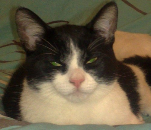 htang_hk's profile picture. 