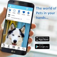 RadarPets (@radarpets_app) 's Twitter Profile