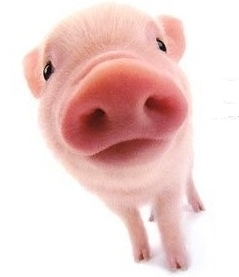 tsuneojo's profile picture. あまりつぶやきませんので、つぶやいたら調子がいいのでしょう。