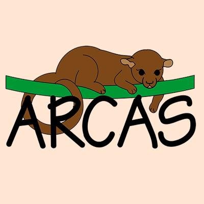 Arcas Guatemala Profile