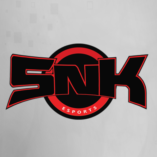 Recently signed as SnK Battlefield 4 competitive attack boat driver. Very knowledgeable in the computer world.
