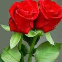 Phiaa (@021adb9d453b4b4) Twitter