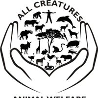 ALL CREATURES VETS(@africacreatures) 's Twitter Profile Photo