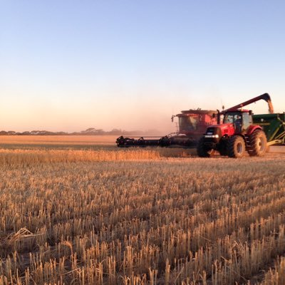 JohnShadbolt1's profile picture. Grain farmer in the shires of Nungarin/Mukinbudin.