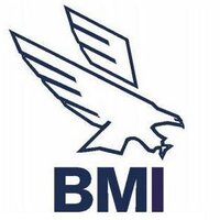 Bradley-Morris, Inc. (@bradley_morris) 's Twitter Profile Photo Bradley-Morris, Inc. (@bradley_morris) 's Twitter Profile Photo