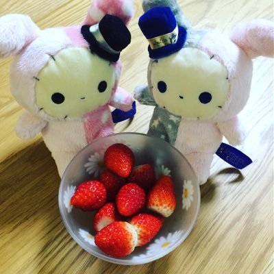 うーにゃんです。センチメンタルサーカス🎪シャッポ🐰コリラックマ🐻‍❄️えびふらい🍤あじふらい🐟ほねチキン🍗 ストア店長全店舗制覇済。こりりん🌷イベント出没します。たまにお取引。25↑♀社会人。