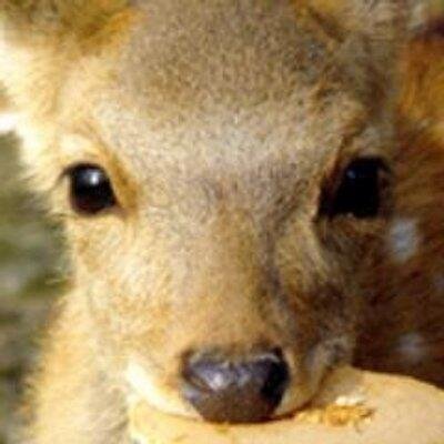 ユーギリさんのプロフィール画像