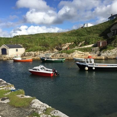 Glasthule41's profile picture. 