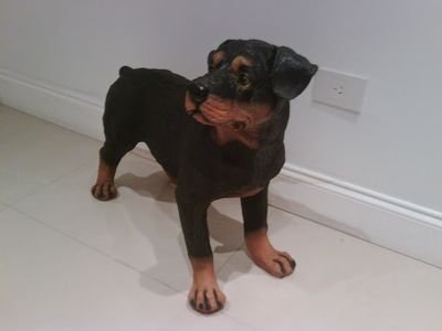 claudio318's profile picture. 