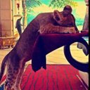 Ali03123 (@03123_ali) Twitter