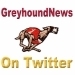 GreyhoundNews