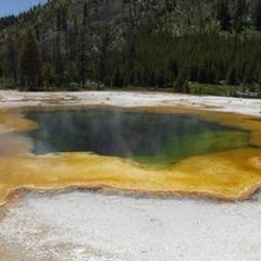 hroushie's profile picture. Daughter, sister, aunt, teacher, beach bum, WVU fan, 88 fan, music listening reader. Its the simple things in life that make me happy!