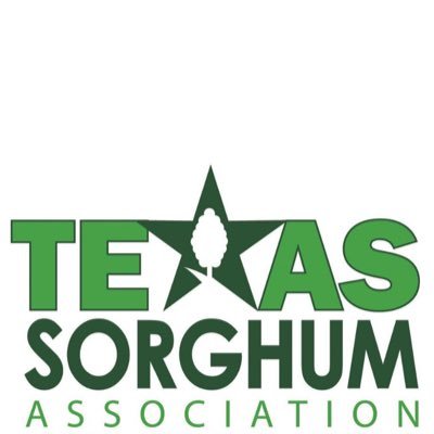 TexasSorghum Profile Picture