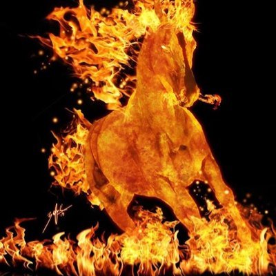 maximgr5's profile picture. 