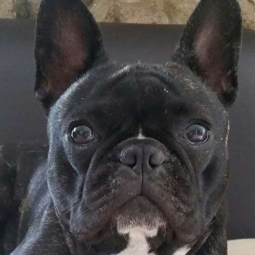 gabrielagmtz's profile picture. 