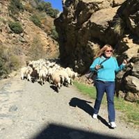 cristimuros's profile picture. artihta a nivel mundial mas conocida como zashulica. Enfermera y rubia