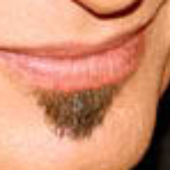 themittami's profile picture. God Emperor of Deklein, Fade and the lower fiefdoms. Because our people deserve to do their best for me.