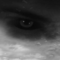 InSaniC2's profile picture. 