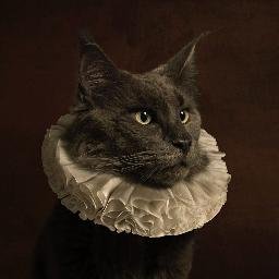 Voltaire’s Cat