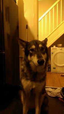 aaronwatson75's profile picture. father,husband and passionate about politics. don't care what you believe and long as you do, anyone fighting a cause has a right to be heard not to be followed