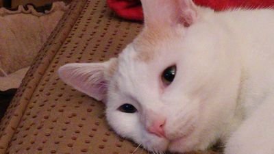 ScottWGerber's profile picture. 