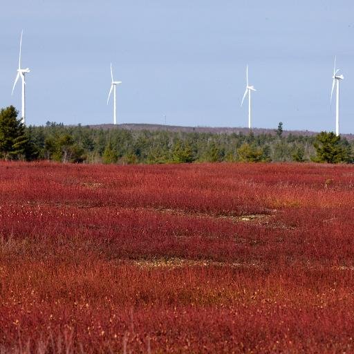 Massachusetts Clean Electricity Partnership is committed to delivery of affordable, clean and reliable energy to the Commonwealth of Massachusetts.