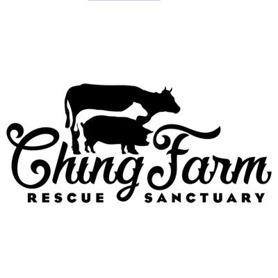 A volunteer run organization that rescues, cares for and advocates for farm animals.
