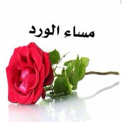 twhtwhjjj's profile picture. 