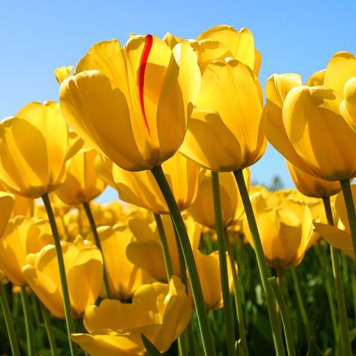 miavita64's profile picture. 