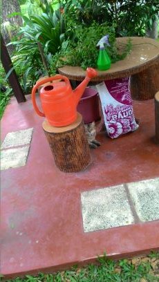 masakasam228's profile picture. 