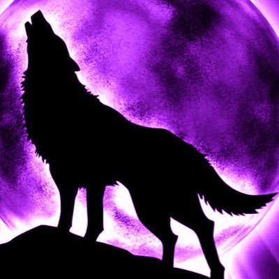Based off of my YouTube channel this is my Twitter page where I hope to connect with all of my members of the wolf pack.