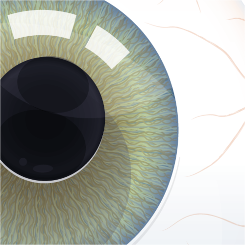 tpvhq's profile picture. Creative Culture : Business : Technology