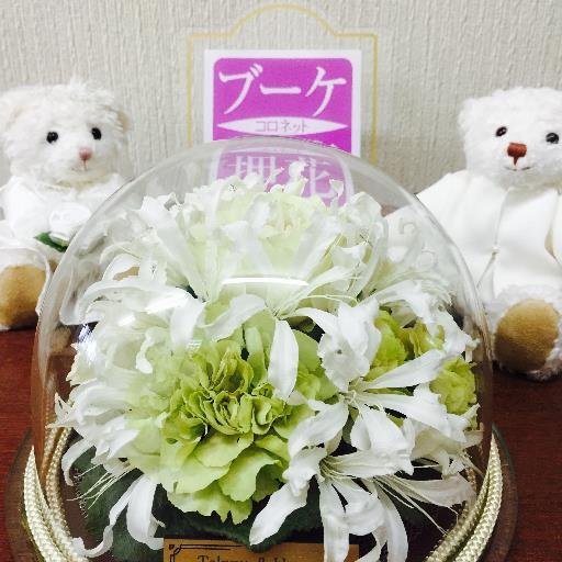 atorie_shimura's profile picture. 静岡市葵区鷹匠のアトリエで２０年以上にわたり、ブーケやプレゼントなどの想い出の花を特殊技術で押し花やドライ加工して残すお手伝いをしています。式場さま、お花屋さん、また、結婚式をご予定の方などご興味ある方は遠慮なくお問い合わせください♪